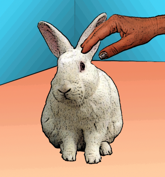 Does your rabbit want pets? The Bunbrary Blog